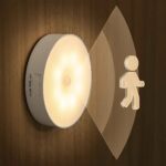 Motion Sensor Light